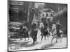 Sudanese Cavalry, France, 1915-null-Mounted Giclee Print