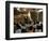 Sudanese Refugees Watch a World Cup Soccer Mach at the Zamzam Refugee Camp-null-Framed Photographic Print