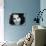 Suddenly Last Summer, Elizabeth Taylor, 1959-null-Stretched Canvas displayed on a wall