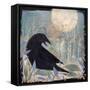 Canvas Black