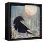 Canvas Black