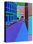 Stretched Canvas