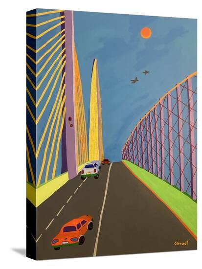Stretched Canvas Print, , large