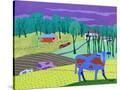 Stretched Canvas