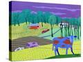 Stretched Canvas