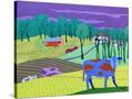 Stretched Canvas