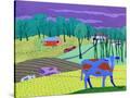 Stretched Canvas
