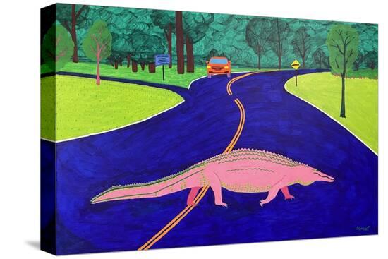 Stretched Canvas Print, , large