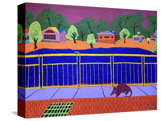Stretched Canvas Print, , large