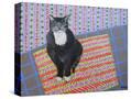 Stretched Canvas