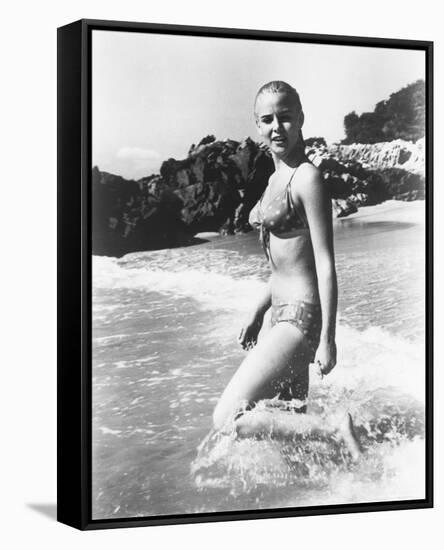 Sue Lyon-null-Framed Stretched Canvas