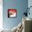 Sue Lyon-null-Framed Stretched Canvas displayed on a wall