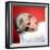 Sue Lyon-null-Framed Photo