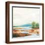 Brown Frame
