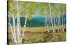 Stretched Canvas