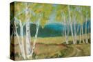 Stretched Canvas