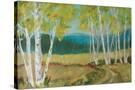 Stretched Canvas