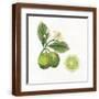 Brown Frame