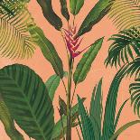 Dramatic Tropical II Boho-Sue Schlabach-Art Print