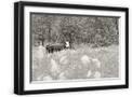 Black Frame