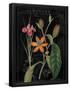Essential Black
