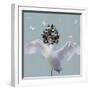 White Frame