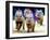 Sue Wee Pig Races-null-Framed Premium Photographic Print