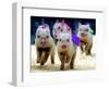 Sue Wee Pig Races-null-Framed Photographic Print