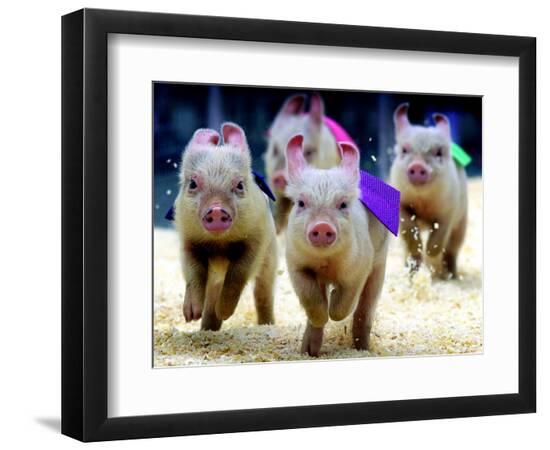Premium Photographic Print, , large