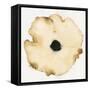 Suede Fleur I-Shirley Novak-Framed Stretched Canvas