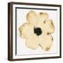 Suede Fleur II-Shirley Novak-Framed Art Print