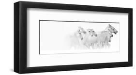 Sufacing-Rosa Mesa-Framed Art Print