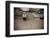 Suffering Young Woman on Urban Scenery. Hard Sepia Toned with Vignetting.-Jose AS Reyes-Framed Photographic Print