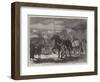 Suffolk Cart-Horses at the Exhibition of the Royal Agricultural Society at Bury St Edmunds-Samuel John Carter-Framed Giclee Print