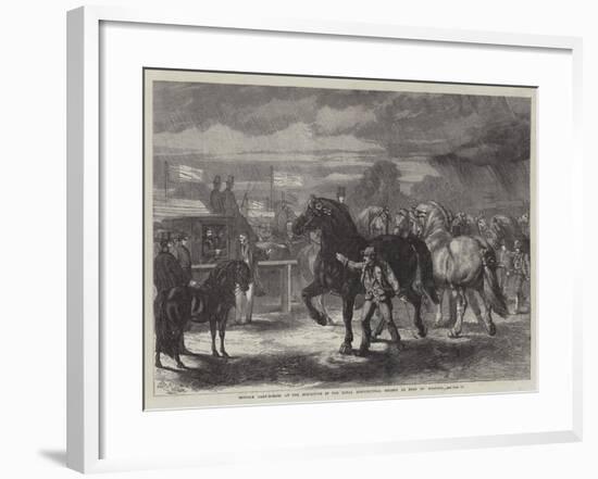 Suffolk Cart-Horses at the Exhibition of the Royal Agricultural Society at Bury St Edmunds-Samuel John Carter-Framed Giclee Print