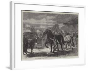 Suffolk Cart-Horses at the Exhibition of the Royal Agricultural Society at Bury St Edmunds-Samuel John Carter-Framed Giclee Print