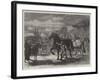 Suffolk Cart-Horses at the Exhibition of the Royal Agricultural Society at Bury St Edmunds-Samuel John Carter-Framed Giclee Print