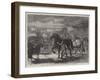 Suffolk Cart-Horses at the Exhibition of the Royal Agricultural Society at Bury St Edmunds-Samuel John Carter-Framed Giclee Print