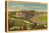 Suffolk Downs, Boston-null-Stretched Canvas
