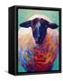 Suffolk Ewe 4-Marion Rose-Framed Stretched Canvas