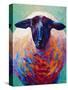 Suffolk Ewe 4-Marion Rose-Stretched Canvas