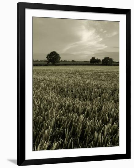 Suffolk Field-Tim Kahane-Framed Photographic Print