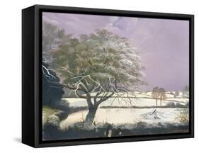 Suffolk Landscape, C.1968-Anna Katrina Zinkeisen-Framed Stretched Canvas