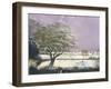 Suffolk Landscape, C.1968-Anna Katrina Zinkeisen-Framed Giclee Print