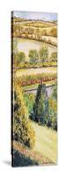 Suffolk Landscape, View Form the Front Window, 2000-Joan Thewsey-Stretched Canvas