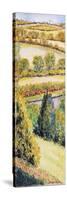 Suffolk Landscape, View Form the Front Window, 2000-Joan Thewsey-Stretched Canvas