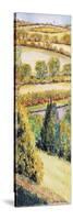 Suffolk Landscape, View Form the Front Window, 2000-Joan Thewsey-Stretched Canvas