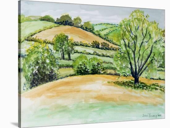 Suffolk Landscape, View from Dalham Church, 2011-Joan Thewsey-Stretched Canvas