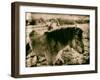 Suffolk Ponies-Tim Kahane-Framed Photographic Print