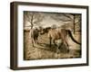 Suffolk Ponies-Tim Kahane-Framed Photographic Print